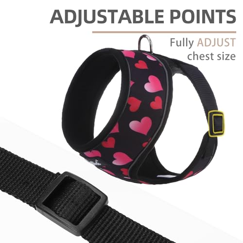 PUPTECK Soft Mesh Dog Harness and Leash Set Pet Puppy Cat Comfort Padded Vest No Pull Harnesses Valentine, Black&Pink, XS - color: Black&Pink, size: XS (NECK: 10", CHEST: 10"-14")