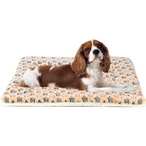 Mora Pets Dog Crate Pad - Ultra Soft Pet Bed With Cute Star Print, Washable Mat for Large Medium Small Dogs, Reversible Fleece Kennel Liner, Cat Bed 23 x 18 Inch Brown - color: Brown, size: 24-Inch