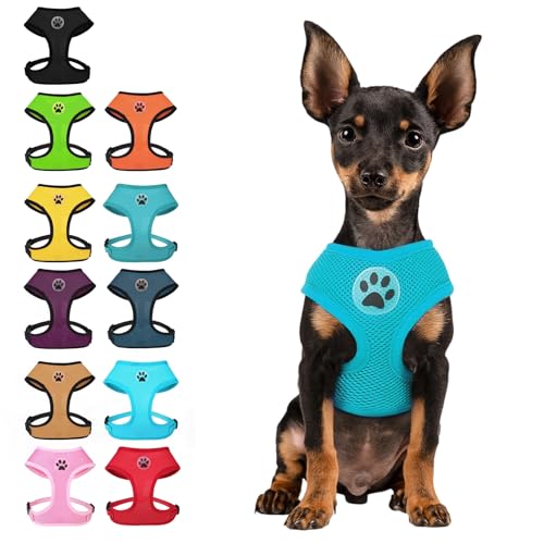 BINGPET Small Dog Harness, No Pull Dog Harness Small Sized Dogs, Soft Light Breathable Mesh Puppy Vest with Safety Buckle-Adjustable Step in Pet Harnesses for Easy Walking, Running, Training - color: Royal Blue, size: XS (NECK: 10", CHEST: 10"-14")