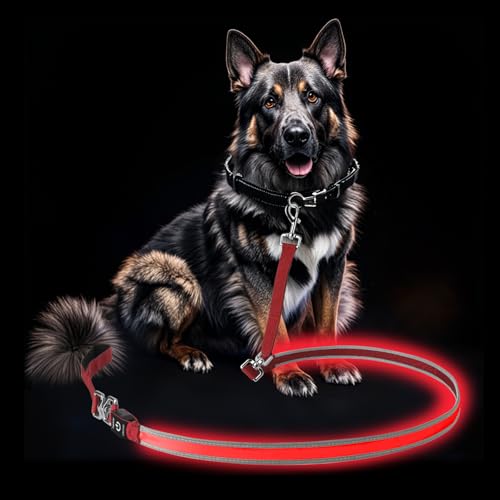 LED Dog Leash - Rechargeable, Waterproof & Reflective, 6FT Tangle-Free for Night Walking(Red) - color: Red
