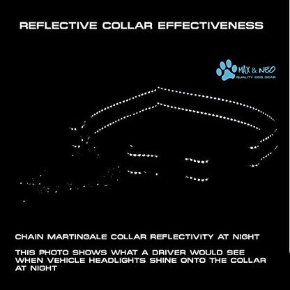 Max and Neo Stainless Steel Chain Martingale Collar - We Donate to a Dog Rescue for Every Collar Sold (Small, Teal) - color: TEAL, size: Small