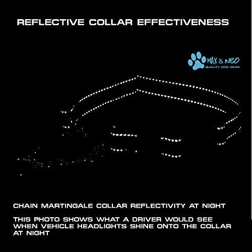 Max and Neo Stainless Steel Chain Martingale Collar - We Donate to a Dog Rescue for Every Collar Sold (Small, Black) - color: BLACK, size: Small