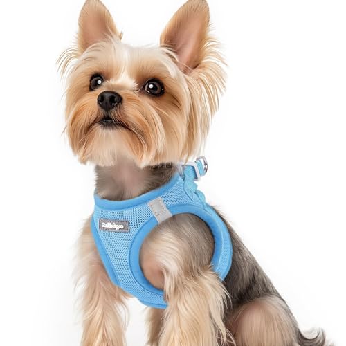 rabbitgoo Small Dog Harness, Step-in Soft Mesh Puppy Vest with Safety Buckle, Breathable Reflective Pet Harness for Small Sized Dogs, Blue XS - color: Blue, size: Xs(chest:13.3"-15.5")