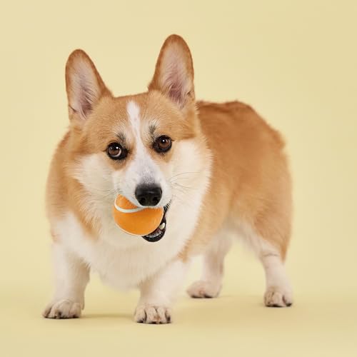 Playology Dog Toys | Squeaky Chew Ball - Bouncy Durable Floating Fetch Ball for Dogs | Medium Cheddar Cheese Scented Toy - Easy to Clean and Made from Non Toxic Materials - size: Medium, style: Cheddar Cheese