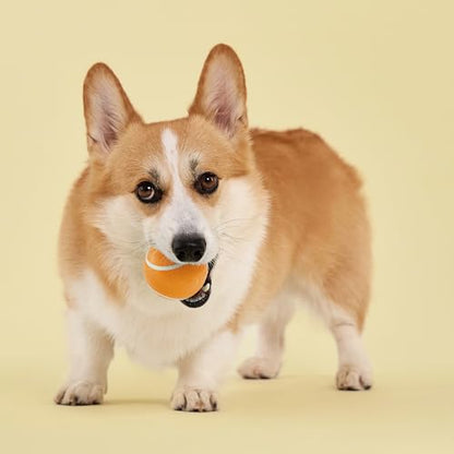 Playology Dog Toys | Squeaky Chew Ball - Bouncy Durable Floating Fetch Ball for Dogs | Medium Cheddar Cheese Scented Toy - Easy to Clean and Made from Non Toxic Materials - size: Medium, style: Cheddar Cheese