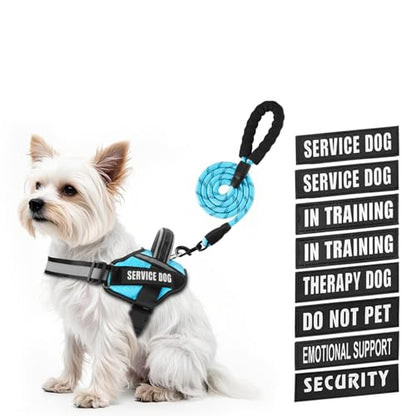 Service Dog Vest Harness and Leash Set, Animire in Training Dog Harness with 10 Dog Patches, Reflective Dog Leash with Soft Padded Handle for Small, Medium, Large, and Extra-Large Dogs - color: Light Blue, size: XXS