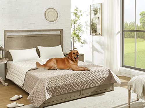 gogobunny 100% Double Sided Waterproof Dog Blanket Soft Bed Pet Cover Reversible Protect Furniture Couch Sofa Car for Puppy Cat Kids (Dark Beige/Light Beige, 82x82 Inch (Pack of 1)) - color: Dark Beige/Light Beige, size: 82x82 Inch (Pack of 1)