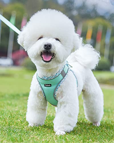 Petank Green Dog Harness (XS), No Pull, Puppy Harness and Leash Set, Jacquard Mesh, Easy Walk Dog Harness for Small Medium Dogs, Reflective Strip, Training, Running, Walking - color: Green, size: XS