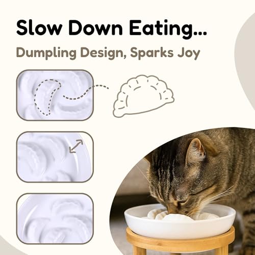 Slow Feeder Bowl, 6.3″ Elevated Cat Bowl with Stand, Melamine Wide Shallow Food Bowl, Whisker-Friendly Raised Plate, Wet Food Feeder for Slow Eating (White) - color: White, size: 1 Pack with Stand - 6.3''W x 1.5''H