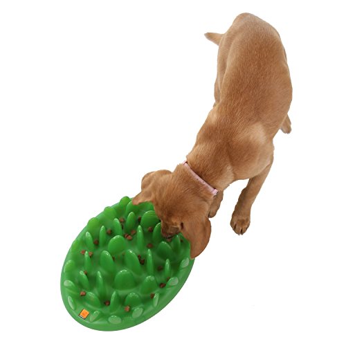 Company of Animals GREEN Slow Interactive Feeder for Dogs, Size Large, Best Fun Slow Feeder Dog Bowl, Anti-Gulp, Gobble Stopper, Mental Stimulation Dog Puzzle, Suitable for Small, Medium & Large Dogs - size: Large