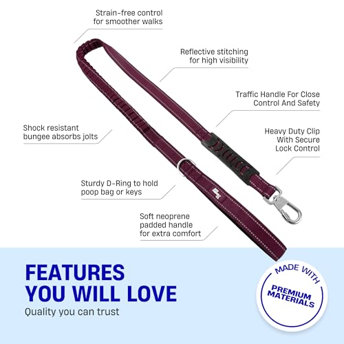 Dog Friendly Co. Bungee Dog Leash | Strain Free & Shock Resistant for Control | Neoprene Padded Handle, Heavy-Duty Carabiner Clip, and D-Ring | Burgundy, Size Regular - color: Burgundy, size: Regular