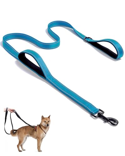 Aeclleca Soft Handle Reflective Black Dog Leash with 2 Padded Handles, 5FT Heavy Duty Pet Lead for Medium & Large Dogs, Comfortable Anti-Slip Grip & Night Safety Design (Sky Blue) - color: Sky blue