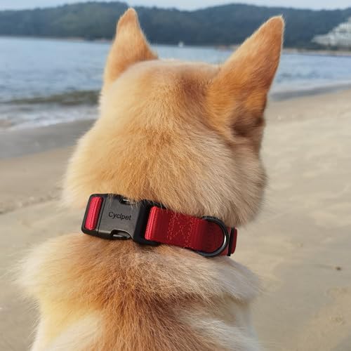 Premium Traditional Nylon Webbing Adjustable Dog Collars,Durable and Smooth Regular 1 Inch Wide Dog Collars with Quick Release Snap for Large Breed Dogs Daily Helper. (Large, Chili Pepper) - color: Chili Pepper, size: Large 16-24 Inches