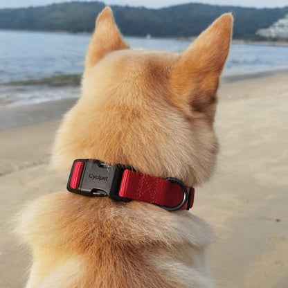 Premium Traditional Nylon Webbing Adjustable Dog Collars,Durable and Smooth Regular 1 Inch Wide Dog Collars with Quick Release Snap for Large Breed Dogs Daily Helper. (Large, Chili Pepper) - color: Chili Pepper, size: Large 16-24 Inches