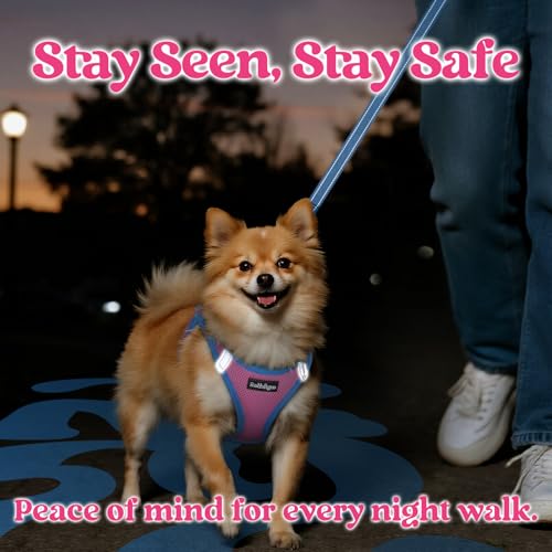 rabbitgoo Dog Harness Small Sized and Leash Set, Step-in Breathable Pet Harness, Soft Walking Reflective Puppy Vest for Small Dogs, Pink & Light Blue, XS - color: Pink & Light Blue, size: XS (Chest: 13.3 - 15.5")