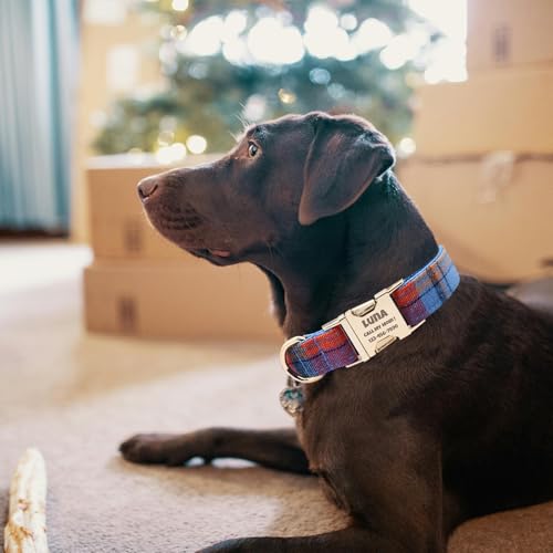 Custom Dog Collar with Name and Phone Numbers - Personalized Laser-Engraved Plaid Polyester Collar with Metal Buckle and D-Ring (Style-D, L (13-20 Inches)) - color: Style-D, size: L (13-20 Inches)