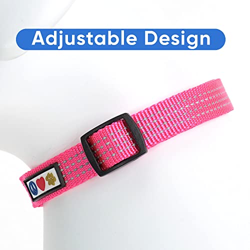 Pawtitas Reflective Dog Collar for X-Small Dogs – Adjustable Nylon Puppy Collar with Quick-Release Buckle | Fits Neck 8–13 in | Night Safety Training Collar | XS | Pink - color: Pink, size: X-Small (Pack of 1)