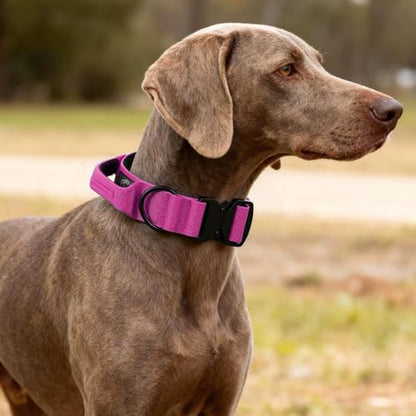 Tactical Thick Dog Collar, Adjustable Training Nylon Dog Collar, Heavy Duty Metal Buckle & Control Handle for Small Medium Large Dogs (M, Hotpink) - color: Hotpink, size: M