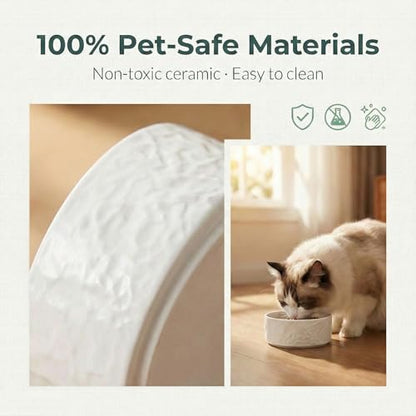 Ceramic Dog and Cat Bowl 2-Pack Small Heavy Weighted Non-Slip Food & Water Set for Cats & Small Dogs 13.5oz White - color: White – 2 Pack