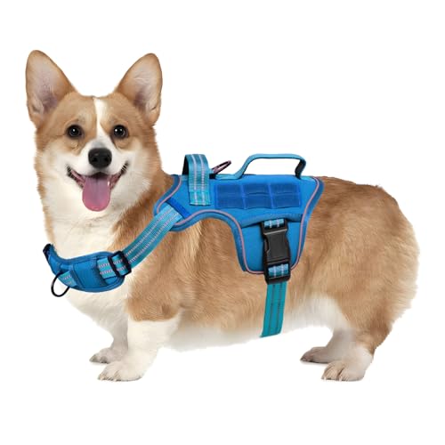 Small Dog Harness, Heavy Duty Tactical No Pull Dog Harness, No Choke, Easy On and Off Pet Vest with Molle System, Adjustable Reflective Dog Vest with Breathable Padded for Walking Hiking Training - color: Blue, size: S(Neck:16-22",Chest:20-28"),18-35 lbs