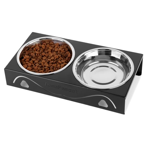 All-Metal Cat Food Bowl Raised, 5.5" WideTilted Whisker-Fatigue Pet Dish, Anti-Vomiting, 2 Stainless Steel Bowls for Food Water, Non-Slip Elevated Cat Feeding Stand for Indoor Multi Cats,Puppy, Black - color: Black-1
