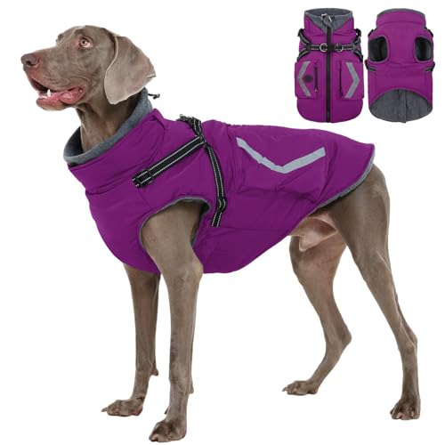 FUAMEY Fleece Lined Dog Coat, Warm Dogs Jacket with Harness, Pop Bag Pockets, Extra Large Doggy Thermal Vest Back Zipper Winter Suit, Snow Cold Weather Outfits, Weimaraner (Violet, 2XL) - color: Bright Violet, size: XX-Large