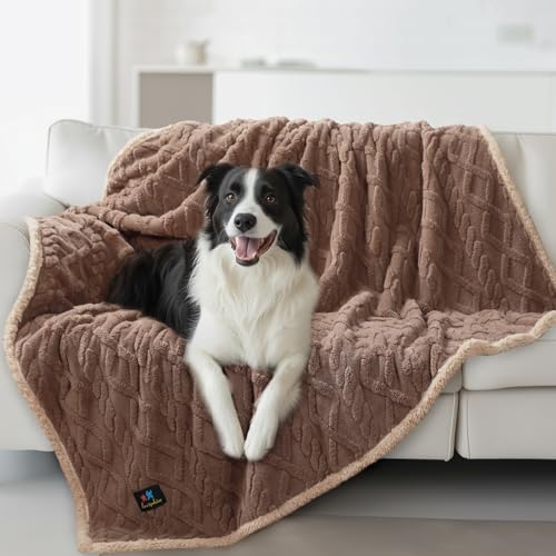 Luciphia Waterproof Pet Blanket, Liquid Pee Proof Dog Blankets for Sofa Bed Couch, Reversible Sherpa Fleece Furniture Protector Cover for Small Medium Large Dogs Cats,Khaki Large（65" x 57"） - color: Khaki, size: L (65" x57")