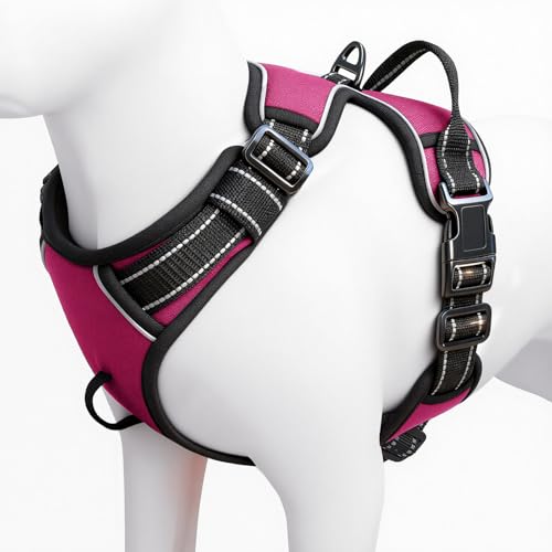 No Pull Dog Harness, No Chock Reflective Adjustable Soft Padded Pet Vest with Easy Control Handle, Easy Wearing with Stylish, Reinforced Knot, 2 Buckles - color: Hot Pink, size: X-Small