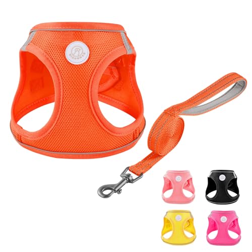 Soft Mesh Dog Harness and Leash Set, No Pull Puppy Harness and Leash Set, Reflective Step in Harness for Small Medium Dogs, Easy Walk Escape Proof Vest Harnesses (Orange, XXS) - color: Orange, size: XXS