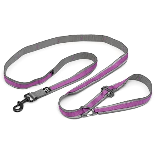 Kurgo 6 in 1 Quantum Leash, Hands Free Leash for Dogs, Running Belt Lead, Crossbody & Waist Belt Style, Reflective, Carabiner Clip, for Training, Hiking, or Jogging, 4 Colors - color: Violet