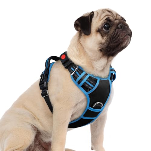 rabbitgoo Dog Harness Small Sized, No Pull Dog Vest with 3 Buckles, Adjustable Soft Padded Pet Harness with Easy Control Handle and Reflective Strips, Black & Sky Blue, S - color: Black & Sky Blue, size: Small