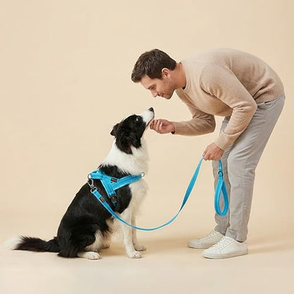 Didog Soft Flannel Padded Dog Vest Harness, No Pull/Quick Fit Reflective Dog Strap Harness, Easy for Training Walking (M:Chest 21-26", Blue) - color: Blue, size: M:chest 21-26"