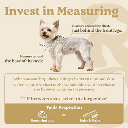 rabbitgoo Small Dog Harness, Step-in Soft Mesh Puppy Vest with Safety Buckle, Breathable Reflective Pet Harness for Small Sized Dogs, Beige Plaid XXS - color: Beige Plaid, size: Xxs(chest:12.4"-14.2")