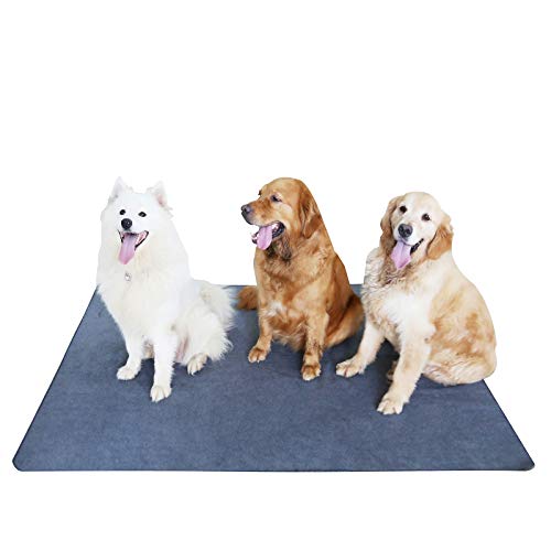 Peepeego Non-Slip Dog Pad 65 x 48, Washable Pee Pad with Fast Absorbent, Waterproof for Training, Whelping - size: 65x48 Inch（Pack of 1)