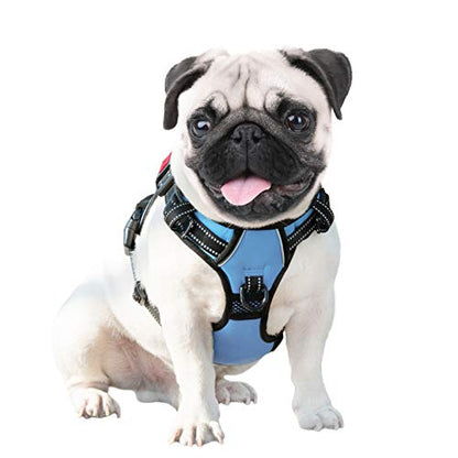 PHOEPET No Pull Dog Harness Reflective Adjustable Vest with a Training Handle, Name ID Pocket, 2 Metal Leash Hooks, 3 Snap Buckles [Easy to Put on & Take Off](XS, Baby Blue) - color: Baby Blue, size: Extra Small
