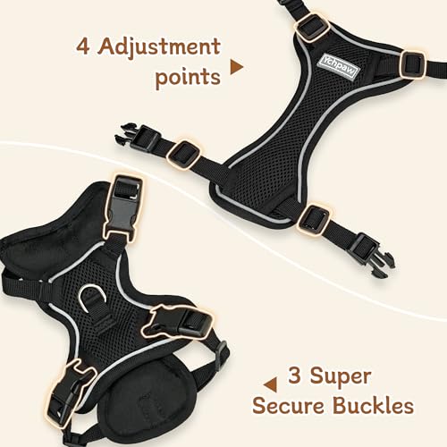 Small Dog Harness and Leash Set, Reflective Soft Breathable Mesh Vest, 3 Buckles, Adjustable Neck and Chest,Step in Dog Harness for Walking, Running, Training, Black, XS - color: Black, size: X-Small