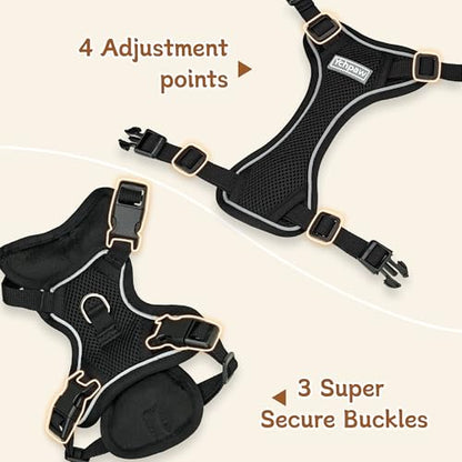 Small Dog Harness and Leash Set, Reflective Soft Breathable Mesh Vest, 3 Buckles, Adjustable Neck and Chest,Step in Dog Harness for Walking, Running, Training, Black, XS - color: Black, size: X-Small