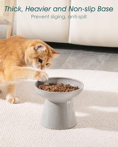 vancasso Ceramic Elevated Cat Bowls 2-Pack - 6.2" Extra Wide Raised Cat Food & Water Dishes, 5.1" Optimal Height Anti-Whisker Fatigue Shallow Bowls for Cats/Kittens/Dogs, Lead & Cadmium Free (Grey) - color: Grey