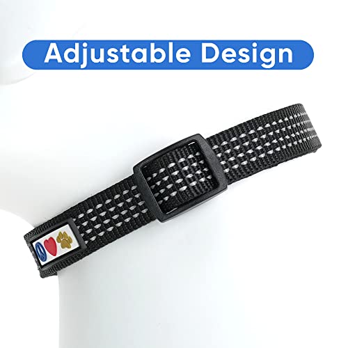Pawtitas Reflective Dog Collar for X-Small Dogs – Adjustable Nylon Puppy Collar with Quick-Release Buckle | Fits Neck 8–13 in | Night Safety Training Collar | XS | Black - color: Black, size: X-Small (Pack of 1)