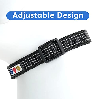 Pawtitas Reflective Dog Collar for X-Small Dogs – Adjustable Nylon Puppy Collar with Quick-Release Buckle | Fits Neck 8–13 in | Night Safety Training Collar | XS | Black - color: Black, size: X-Small (Pack of 1)