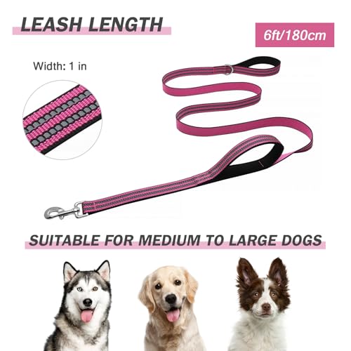 Hikiko Heavy Duty Dog Leash Strong Two Padded Soft Handles Dog Leash for Medium and Large Dogs (Pink,6FT) - color: Pink, size: 1 in x 6 ft