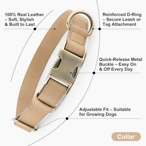 Plutus Pet Genuine Leather Dog Collar – Adjustable Pet Collar with Quick Release Metal Buckle, Soft Real Leather for Small Medium Large Dogs, Heavy Duty & Skin-Friendly (Beige, S) - color: Beige, size: S