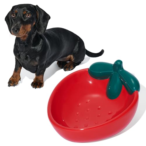 VETRESKA Ceramic Pet Bowl Tilted Design Pet Feeder for Food and Water Anti Vomit Cat Bowls for Indoor Cats Cute Strawberry Cat Bowl Dishwasher Safe - color: Strawberry Bowl