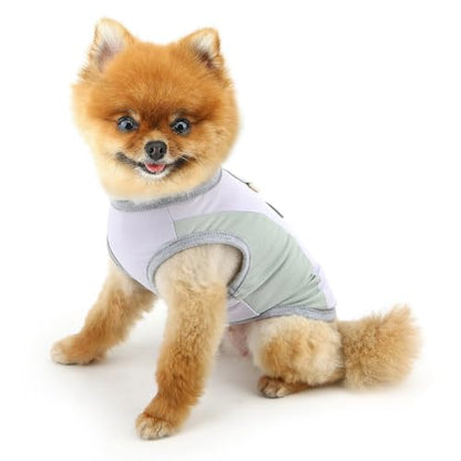 PAIDEFUL Summer Cooling Dog Shirt for Small Dogs Breathable Mesh Pet T-Shirts UV Sun Protection Puppy Vest Soft Lightweight Doggie Tank Top Fashion Chihuahua Tee Clothes Cat Apparel D-Ring,Purple,M - color: purple, size: L