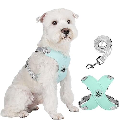 Dog Harness Pet X Frame No Pull Step-in Harnesses with Leash Set, Adjustable Reflective Choke Free Puppy with Padded Vest for Small, Medium Dogs and Cats Walking Training - color: Green, size: Large