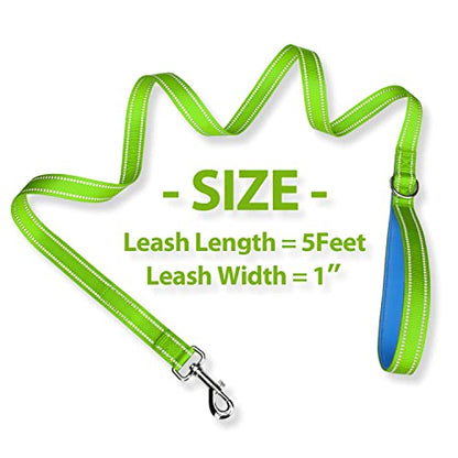 PHOEPET 5 Feet Dog Leash - Dual-Side Reflective - Soft Padded Handle - Fit for Walking, Training or Exploring Hiking, Camping (Green + Blue Base) - color: Green + Blue Base