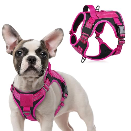 rabbitgoo Tactical Dog Harness for Large Dogs, No Pull Military Service Vest with Handle & Molle, Easy Control for Training Walking, Adjustable Reflective Straps, Black & Rose Red, S - color: Black & Rose Red, size: Small