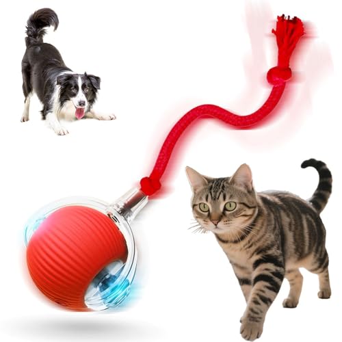 Jiexily Interactive Cat Toys for Indoor Cats, 2025 New Motion Activated Cat Balls with 360° Smart Automatic Rolling Moving for Bored Pet Cats Dogs (Red) - color: Red