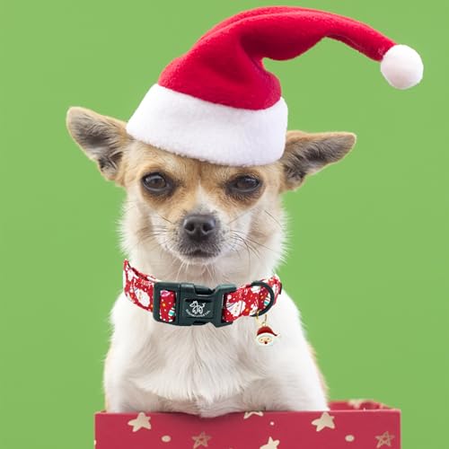 Elegant littlle Tail Christmas Dog Collar, Red Pet Collars Soft Cotton Winter Dog Collar with Quick Release Buckle Pet Puppy Collars for Small Medium Large Dogs - color: Christmas-Santa Claus, size: X-Small (Pack of 1)