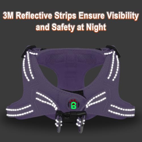 BARKBAY Dog Harness, Reflective Adjustable Puppy No Pull Harness, Breathable Soft for Small and Medium Dogs, Violet Purple, XXS - color: Violet Purple, size: XX-Small